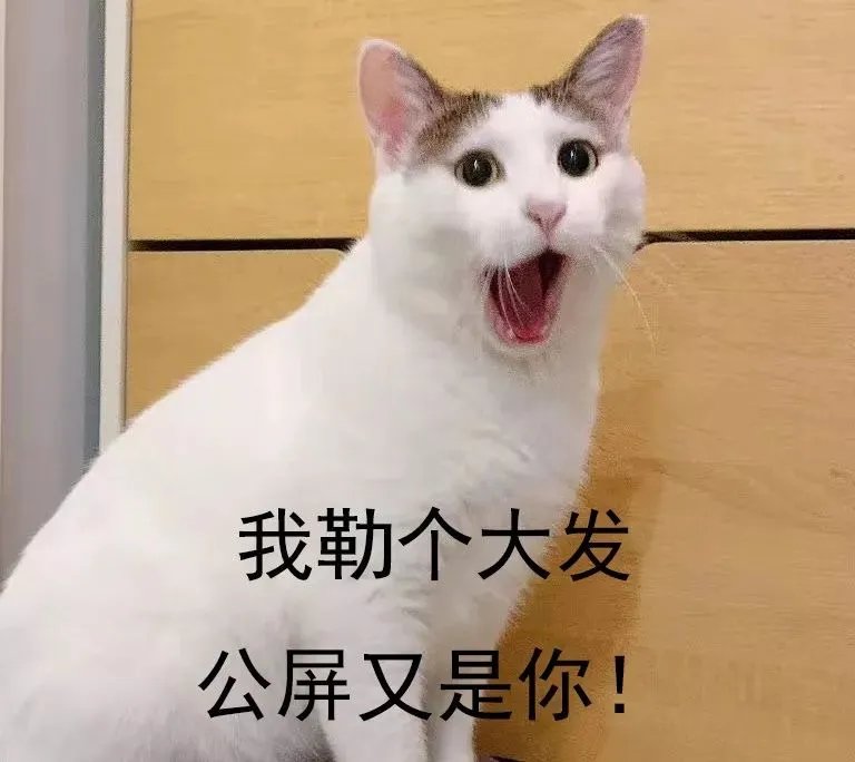 双11狂欢升级！2019猫晚顾家又C位全场了！