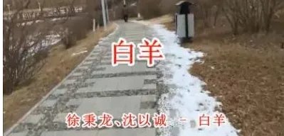 白羊这首歌的有什么意思