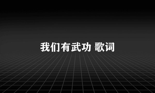 我们有武功 歌词