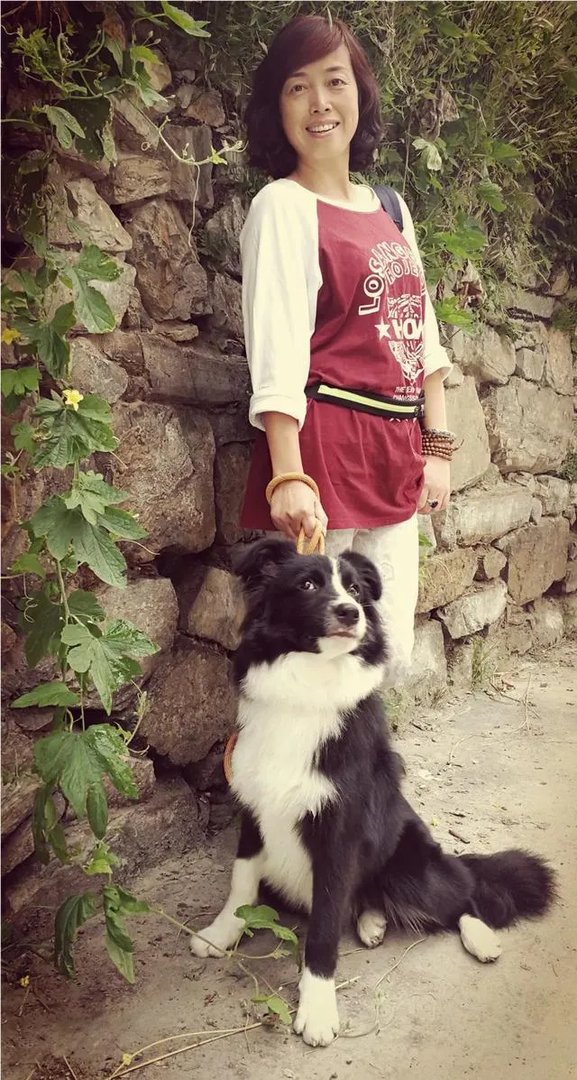 中国最受欢迎的宠物犬是什么犬？