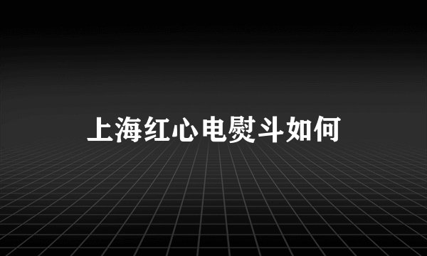 上海红心电熨斗如何