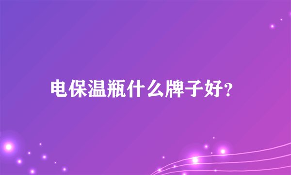 电保温瓶什么牌子好？