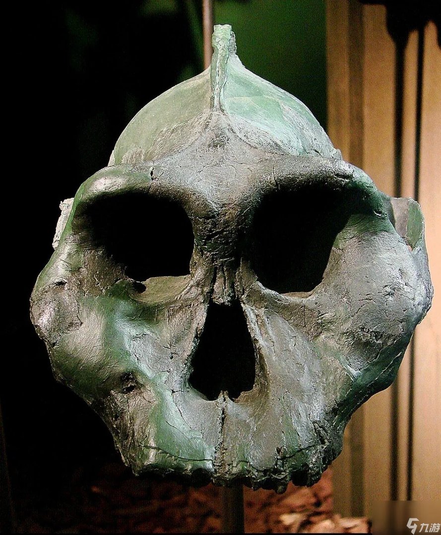 恶魔城被夺走的刻印怪物图鉴 被夺走的刻印有什么boss