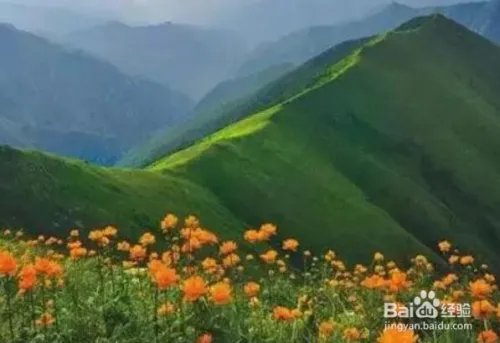 小五台旅游攻略