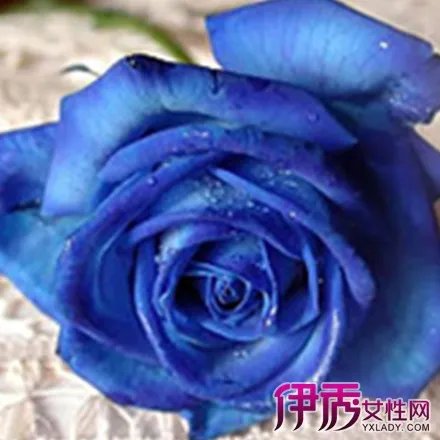 皱纹纸花的折法图解大全