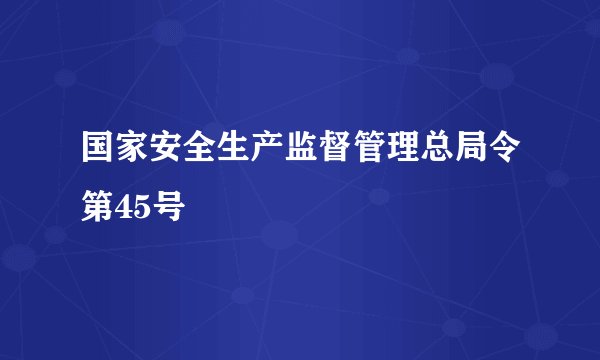 国家安全生产监督管理总局令第45号