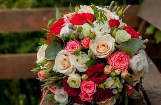 20朵玫瑰花代表什么意思 玫瑰花送几朵代表什么