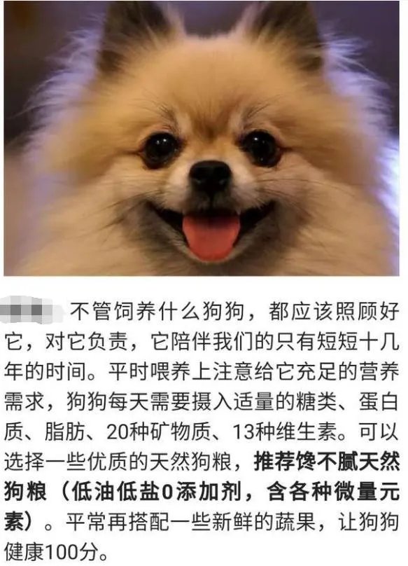 狗狗泪痕怎么解决？