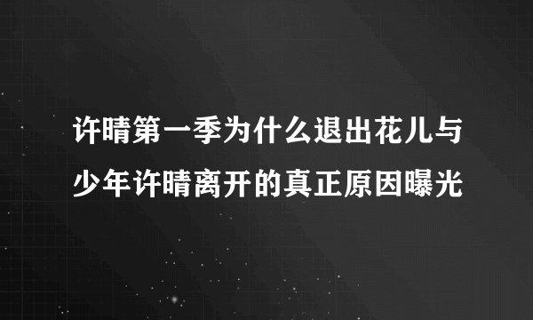 许晴第一季为什么退出花儿与少年许晴离开的真正原因曝光