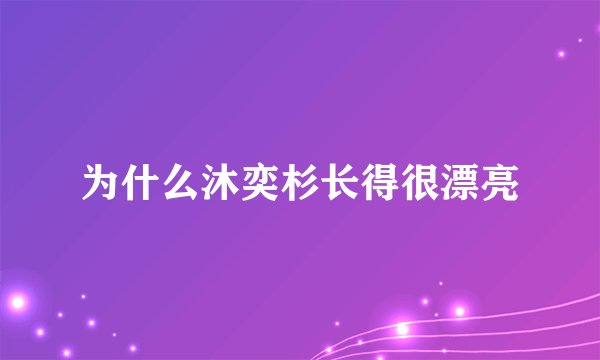 为什么沐奕杉长得很漂亮