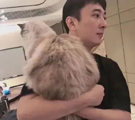 王思聪新女友身份确认21岁的英国名校大学生，这次终于门当户对了吗？