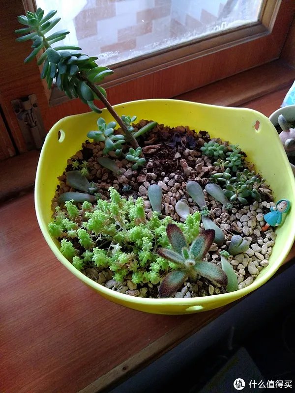 Letv 乐视1 Pro 使用一个月感受