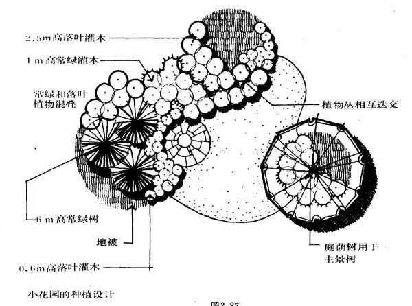 干货 | 庭院植物打造，营造十足空间感