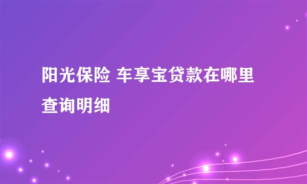 阳光保险 车享宝贷款在哪里查询明细