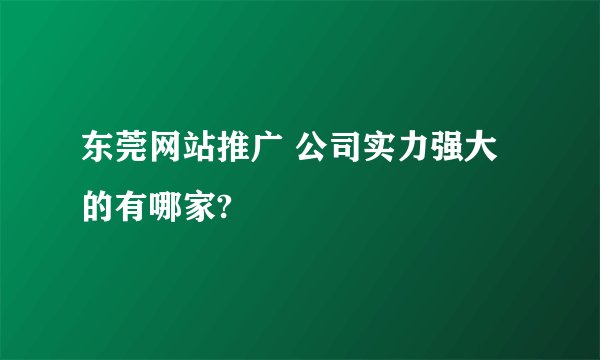 东莞网站推广 公司实力强大的有哪家?
