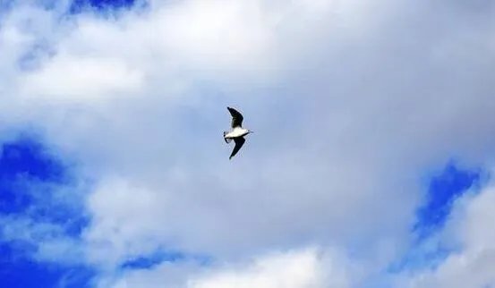 人累和心累的图片大全