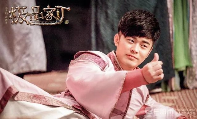 极品家丁电视剧与小说