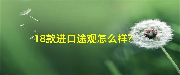 18款进口途观怎么样?