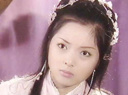 刘怡君老公是谁 刘怡君为什么隐退