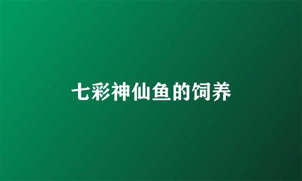 七彩神仙鱼的饲养