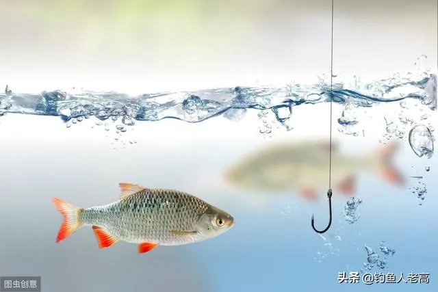 钓鱼人，雨前为啥不好钓鱼？