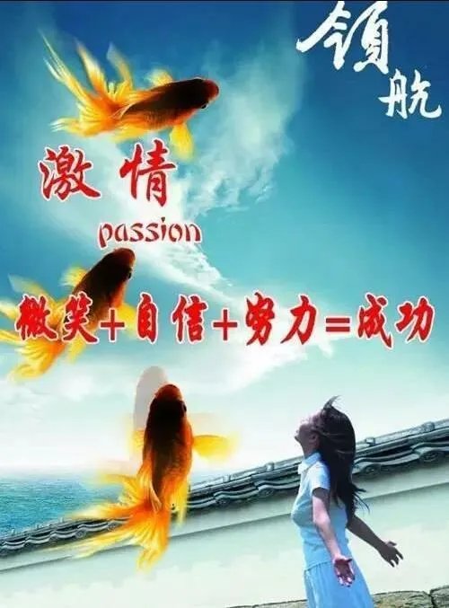 在设计的路上，你后悔了么？