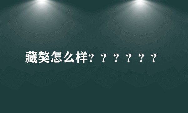 藏獒怎么样？？？？？？