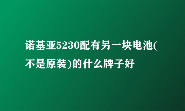 诺基亚5230配有另一块电池(不是原装)的什么牌子好