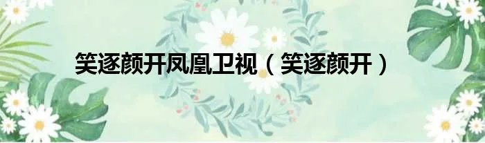 笑逐颜开凤凰卫视（笑逐颜开）