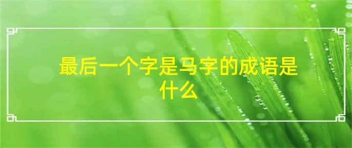 最后一个字是马字的成语是什么