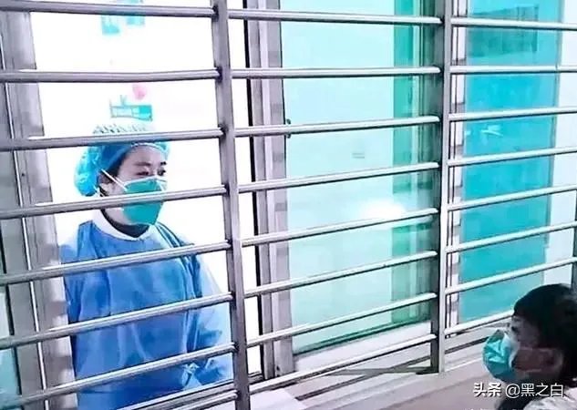 2020高考作文题，你想写哪篇？