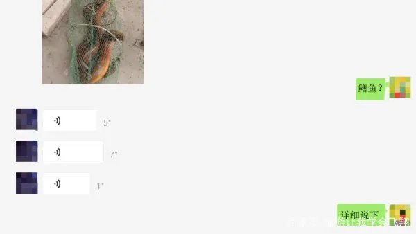 一斤以上的野生大黄鳝通常要长多少年？