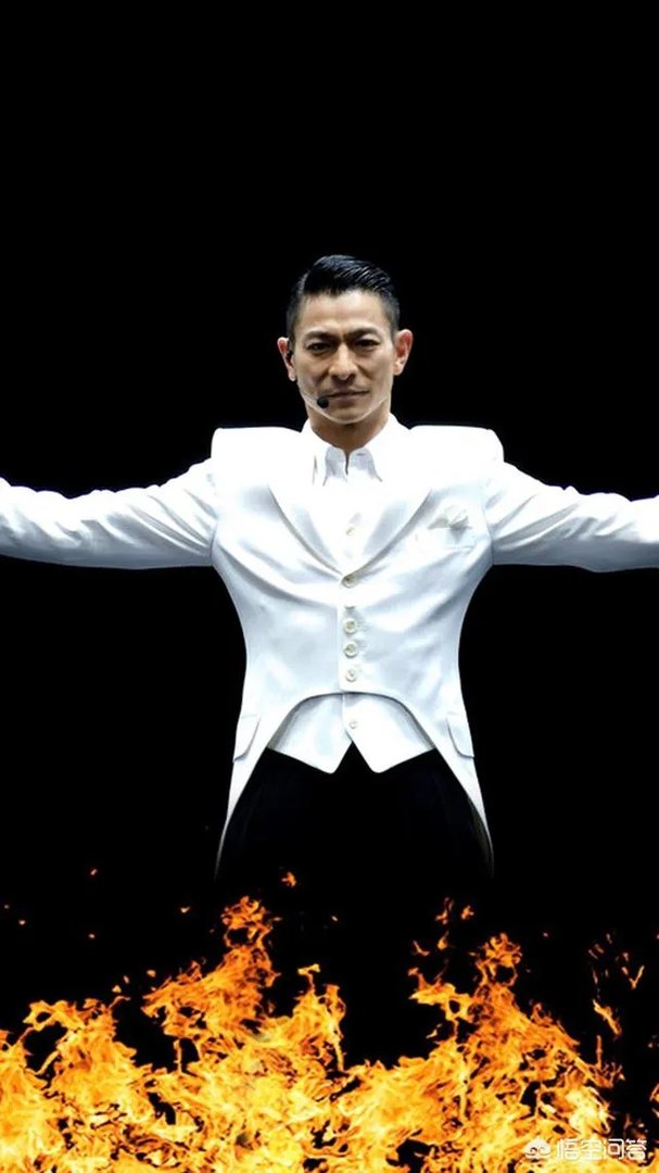 刘德华计划于2020年举办的内地演唱会你会去看吗？