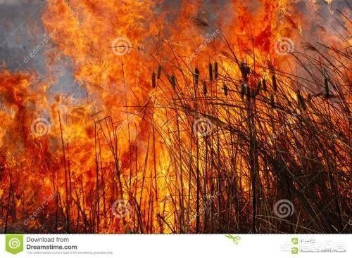 凉山木里火场又复燃了，是什么原因造成的？