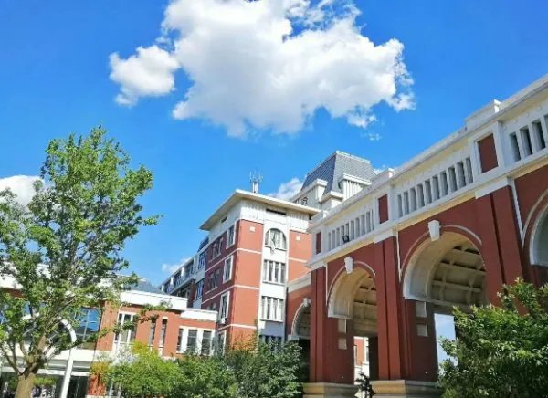 在山东省，排名前15的大学分别是哪些？