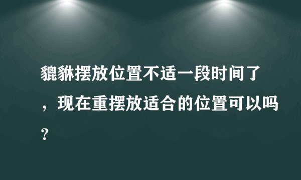 貔貅摆放位置不适一段时间了，现在重摆放适合的位置可以吗？