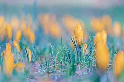 2023年七月初六日子好吗，黄历中余事勿取是什么意思