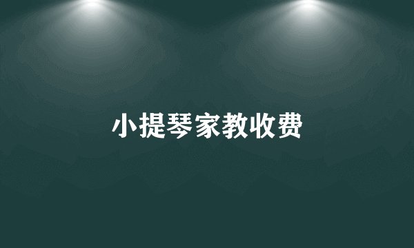 小提琴家教收费