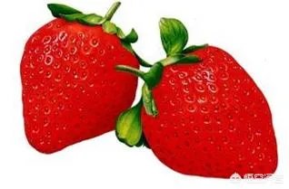 怎么快速美白牙齿？