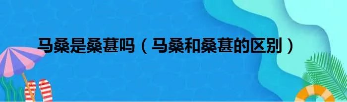 马桑是桑葚吗（马桑和桑葚的区别）