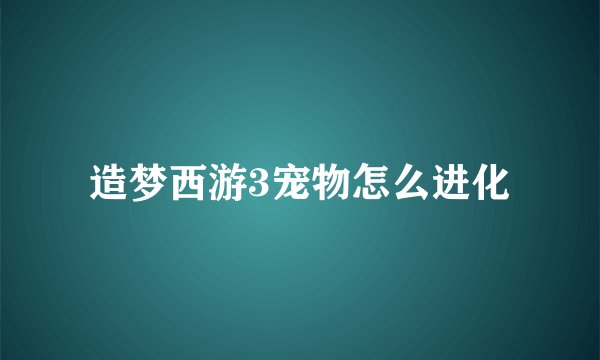造梦西游3宠物怎么进化