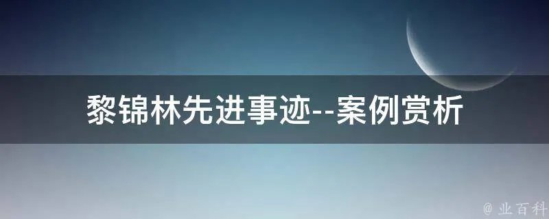 黎锦林先进事迹--案例赏析
