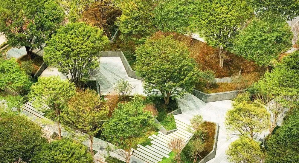 干货 | 庭院植物打造，营造十足空间感