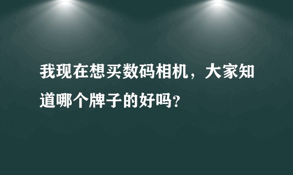 我现在想买数码相机，大家知道哪个牌子的好吗？