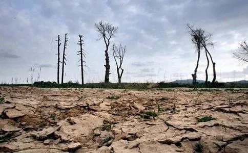 腾格里污染举报人被刑拘，官方是如何回应的？