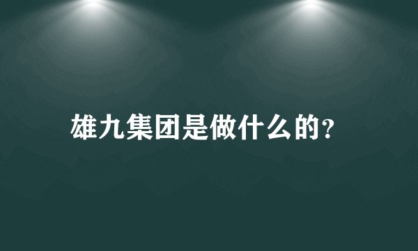 雄九集团是做什么的？