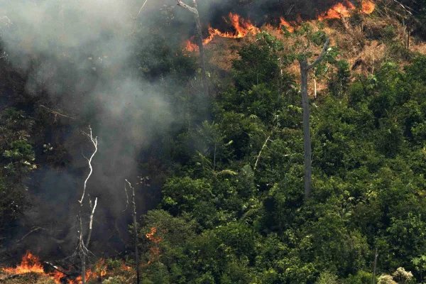 巴西总统不去灭火，却忙着嘲笑马克龙妻子，是真的心大还是不负责任？