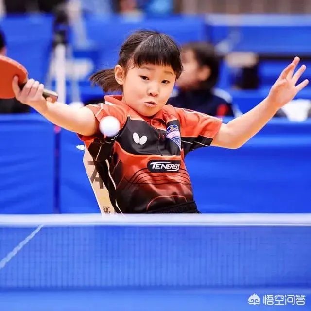 华裔兄妹虎视眈眈，欲来华参加乒超联赛，偷师学艺遭拒绝。你怎么看？