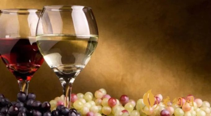 红酒之家论坛怎么打不开