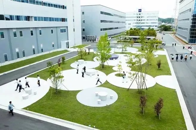 干货 | 庭院植物打造，营造十足空间感